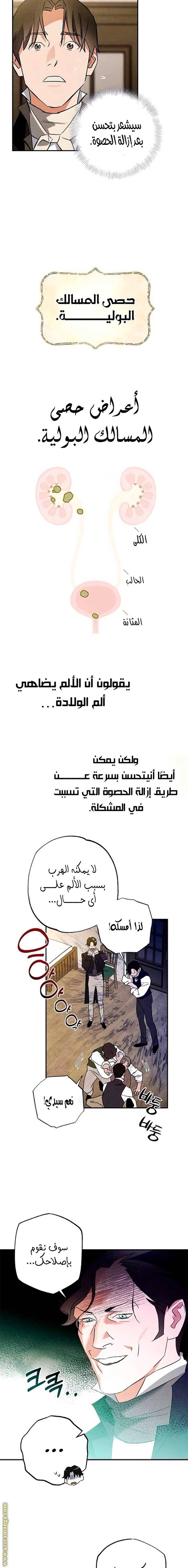 الصفحة 14