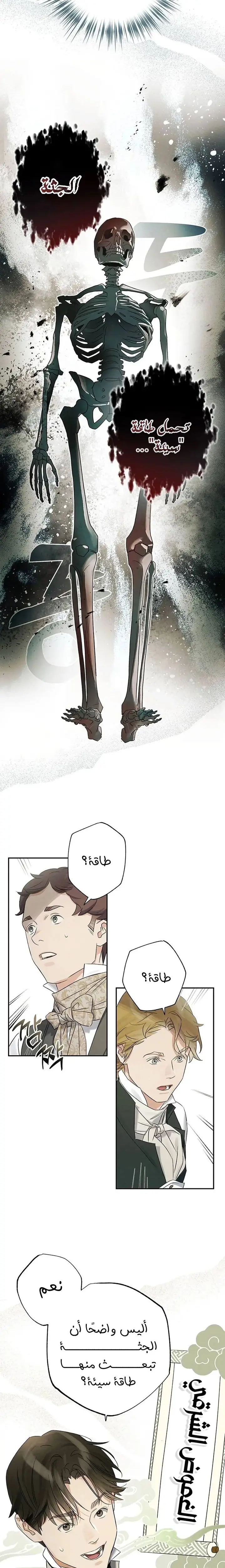الصفحة 11