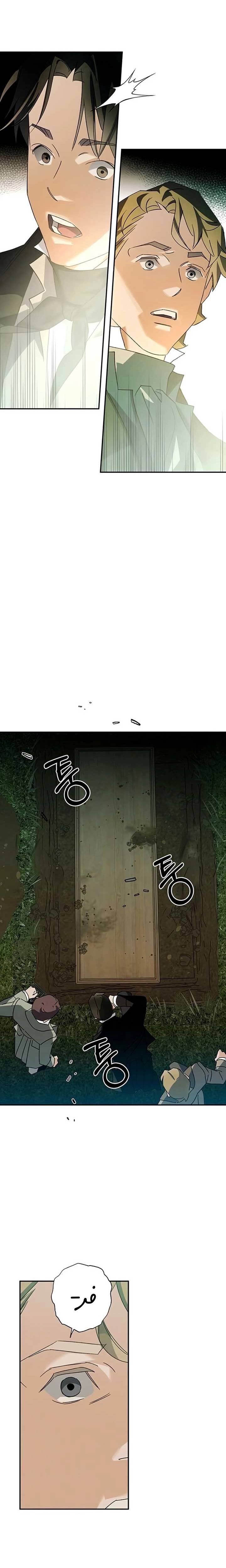 الصفحة 13