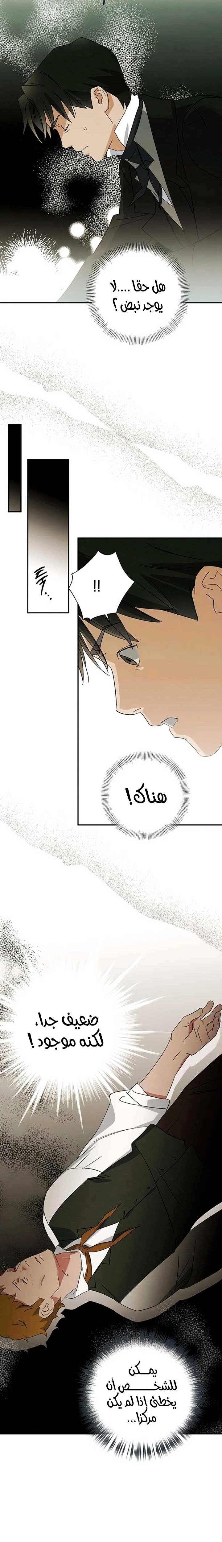 الصفحة 16
