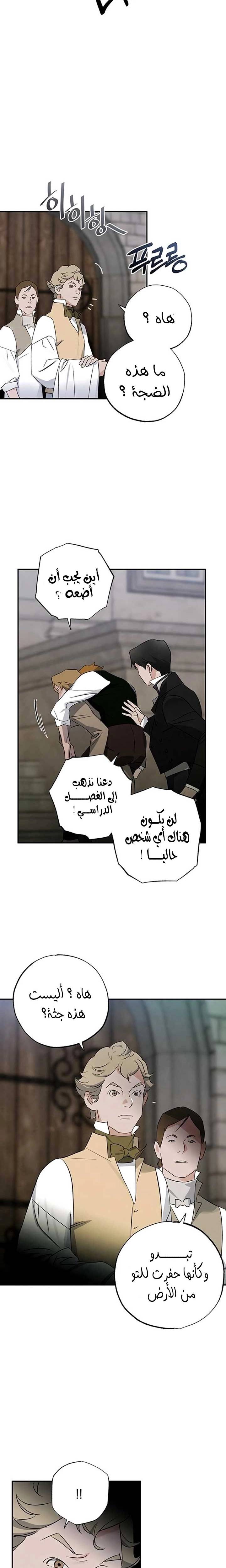 الصفحة 19