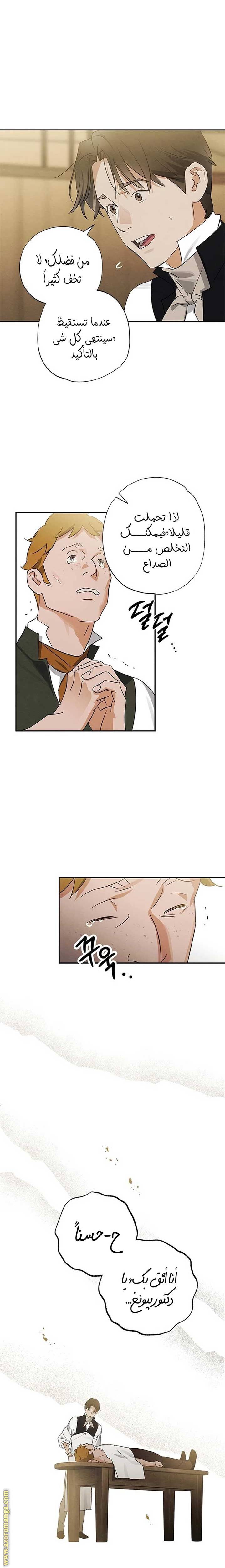 الصفحة 11