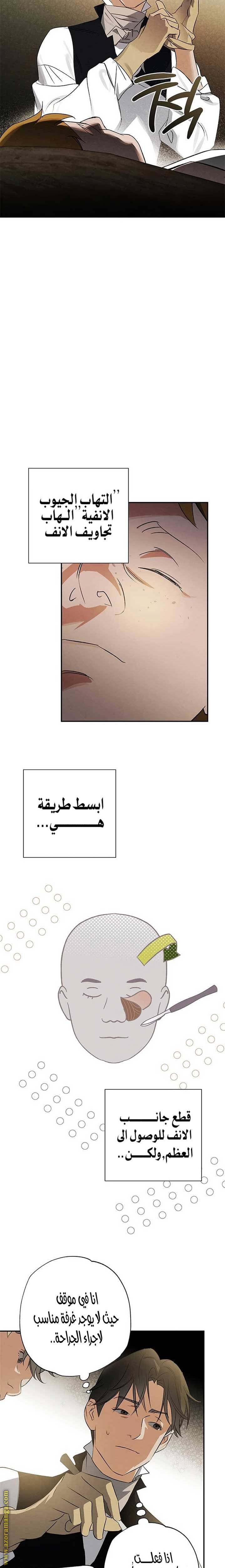 الصفحة 13