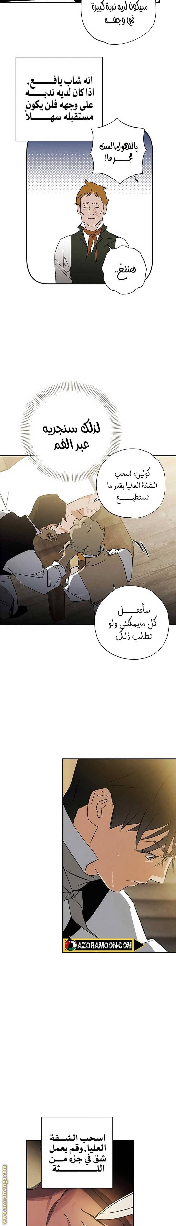 الصفحة 14