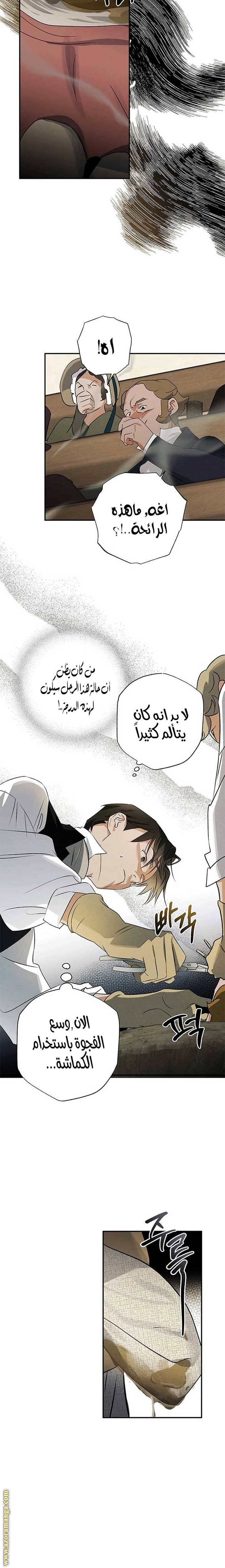 الصفحة 17