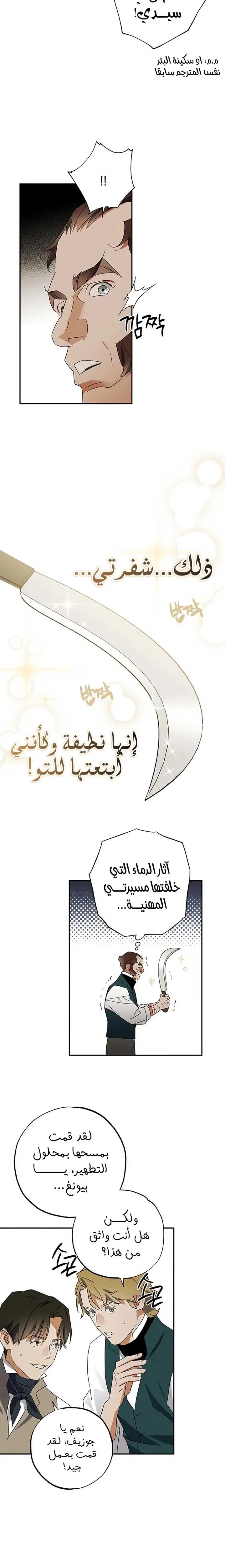 الصفحة 13