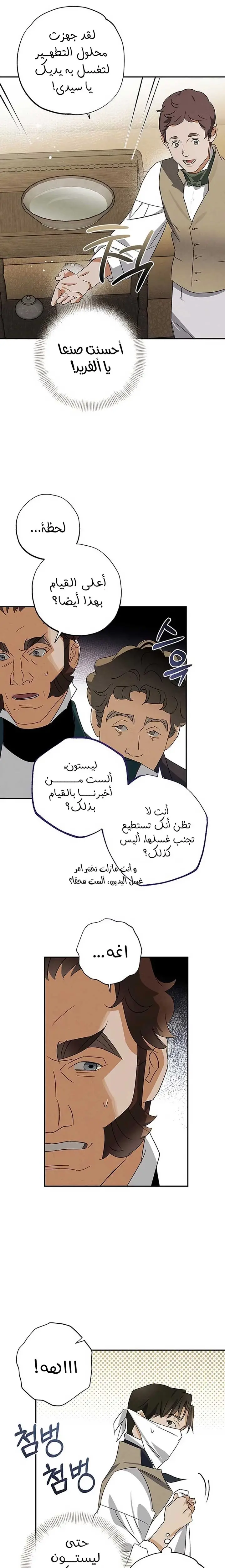الصفحة 14