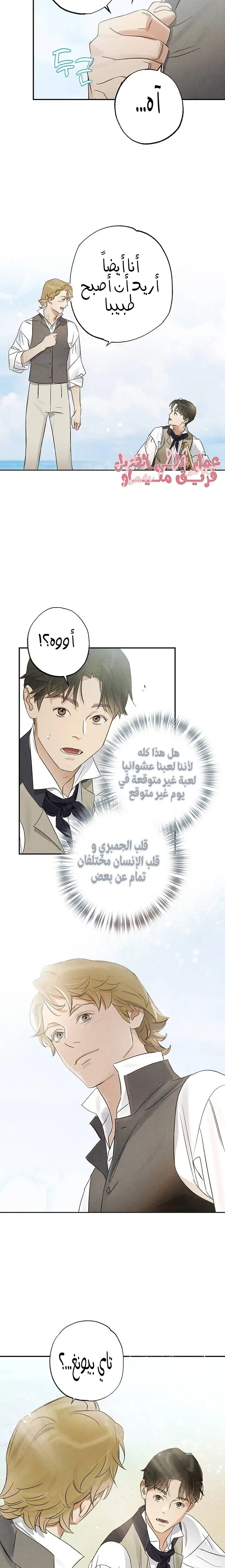 الصفحة 20