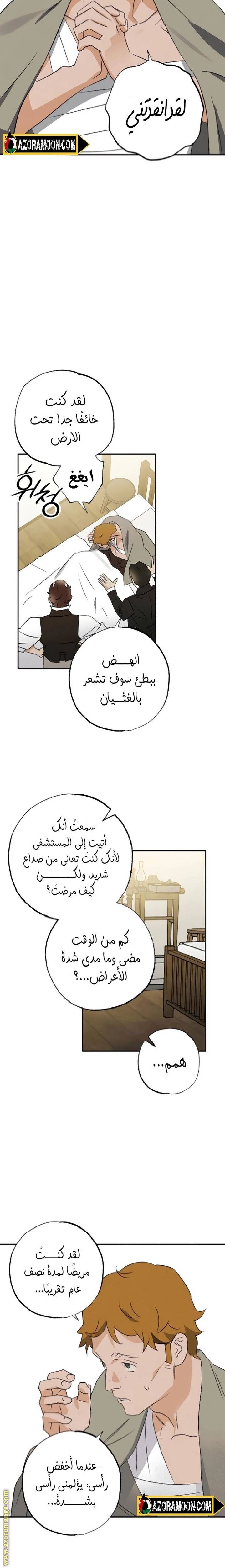 الصفحة 19