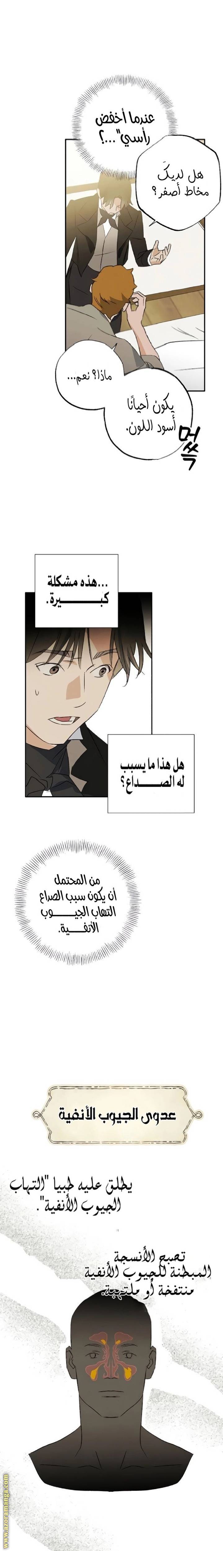 الصفحة 20