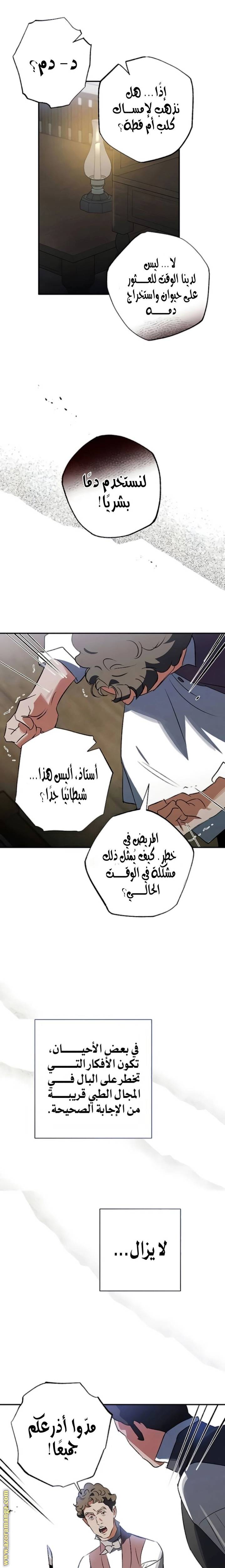 الصفحة 13