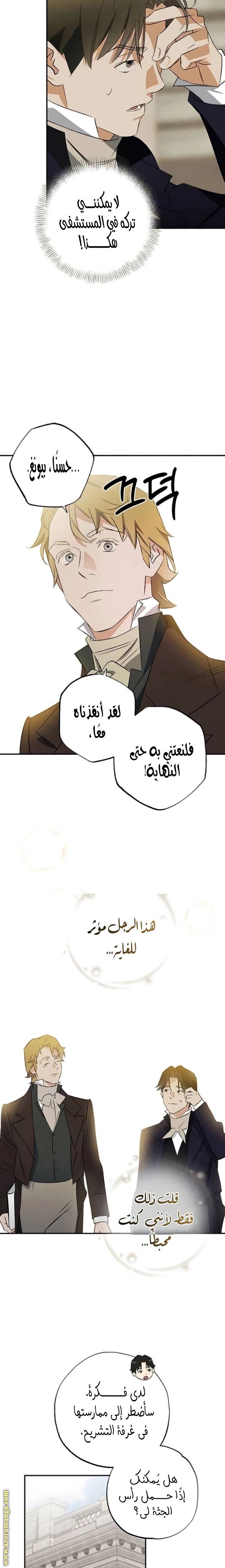 الصفحة 17