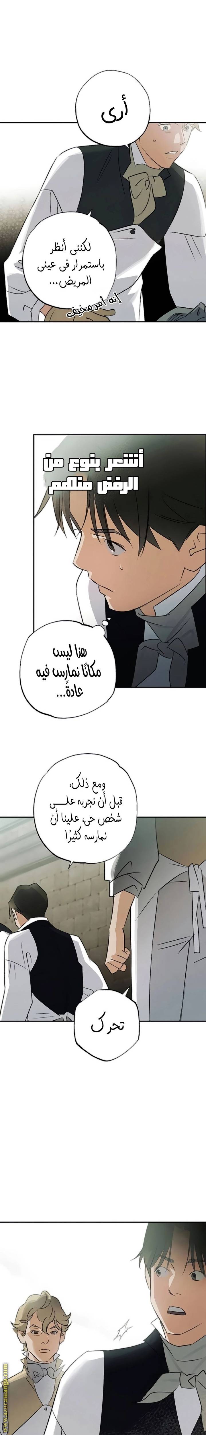 الصفحة 19