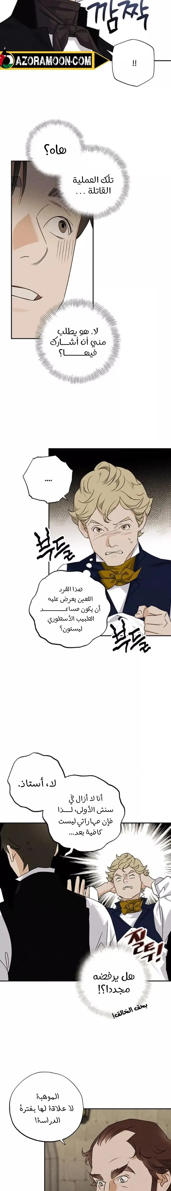 الصفحة 13