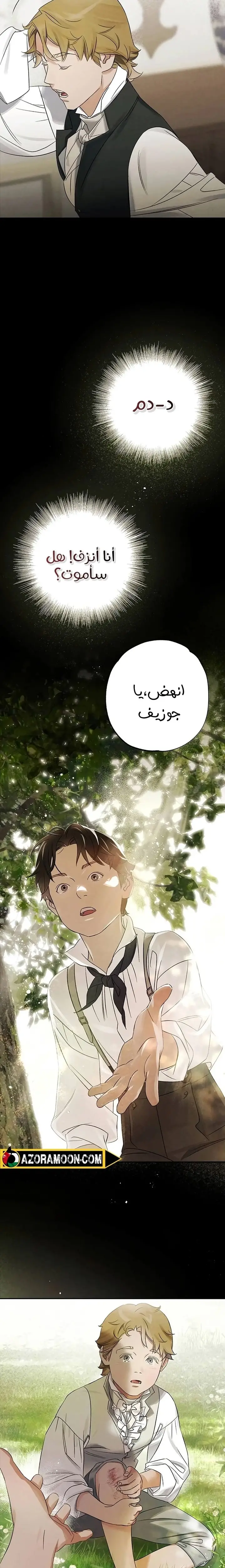 الصفحة 15