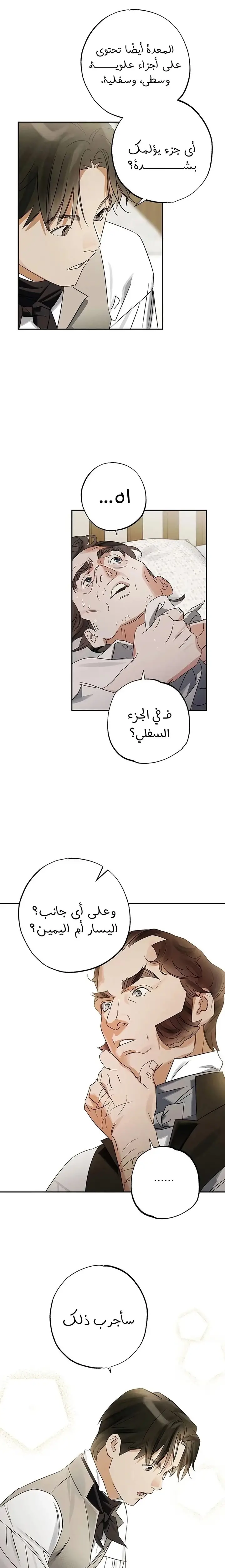 الصفحة 13