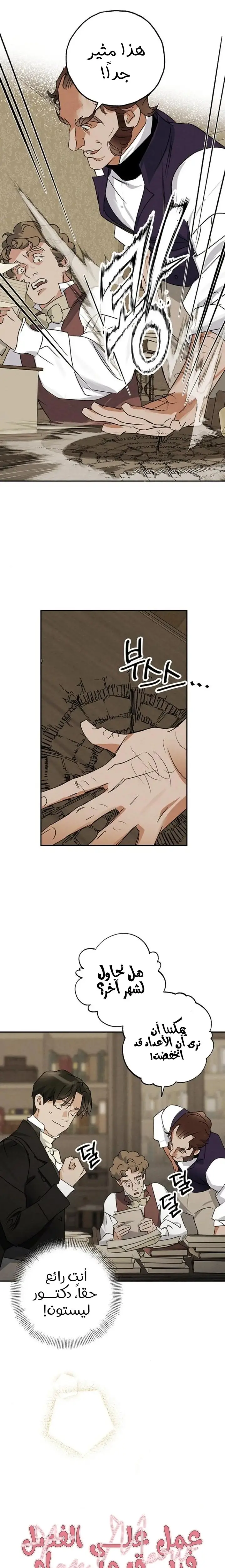 الصفحة 13