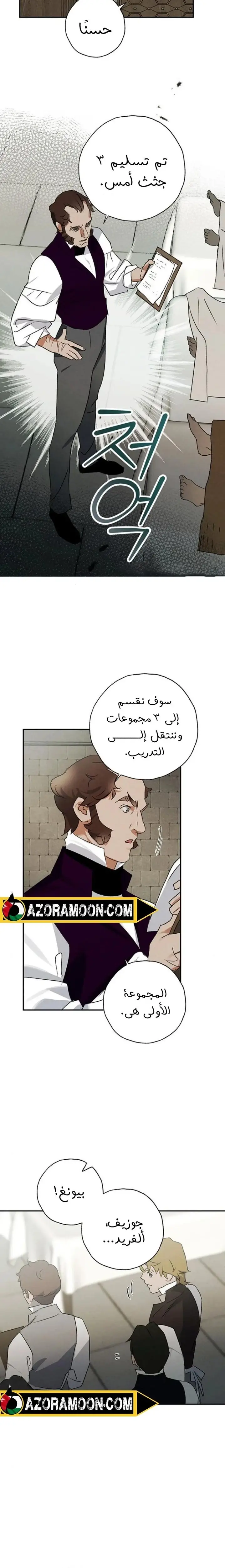 الصفحة 17