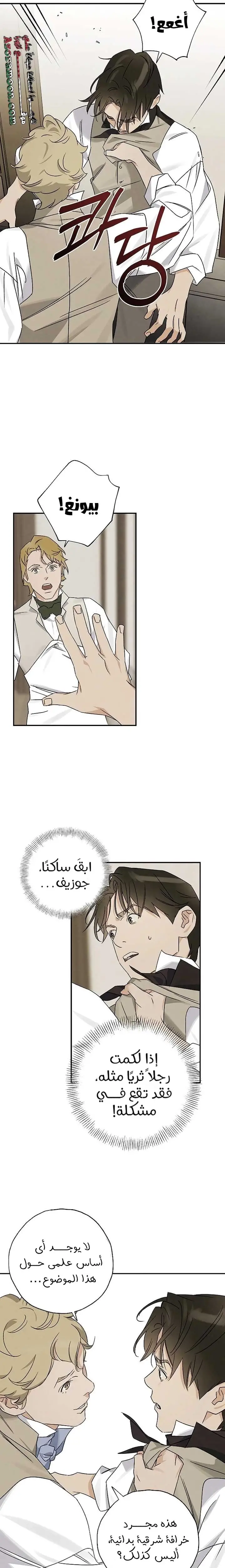 الصفحة 16
