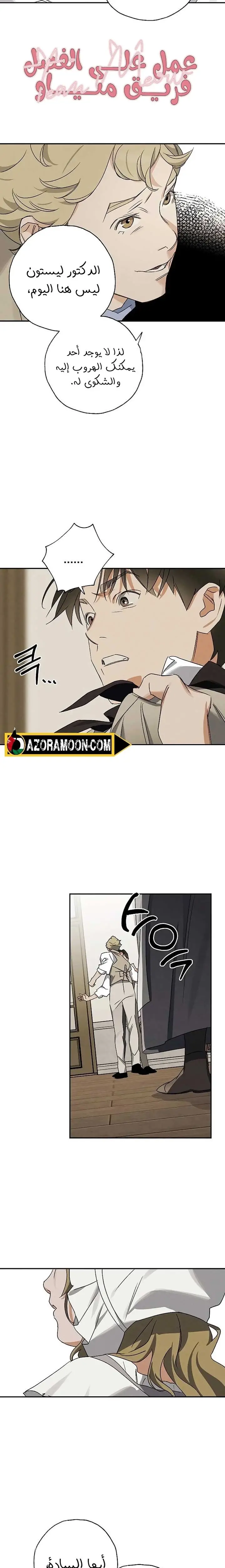 الصفحة 17