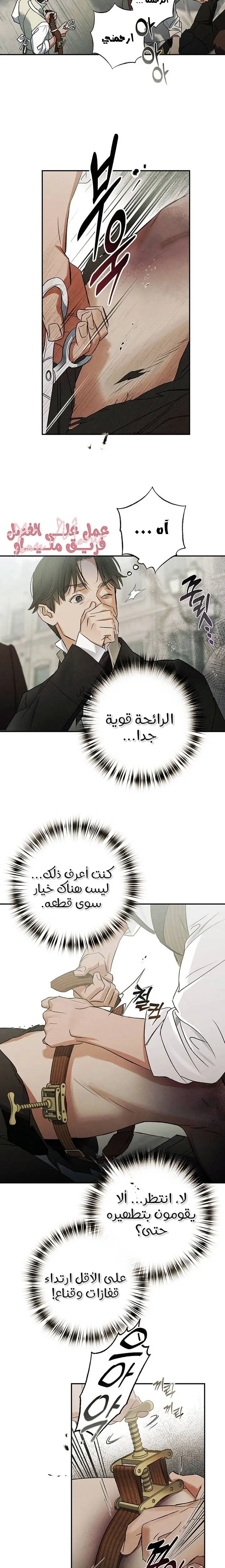 الصفحة 12