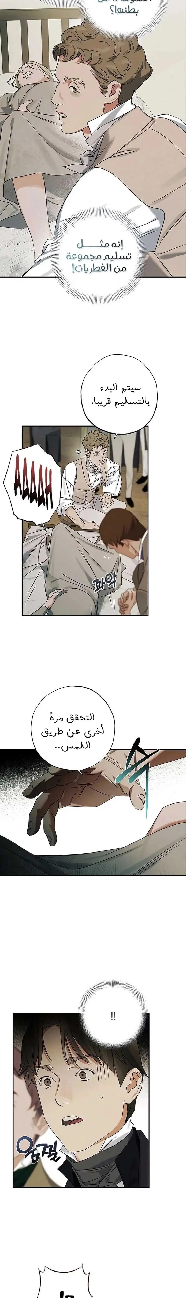 الصفحة 13