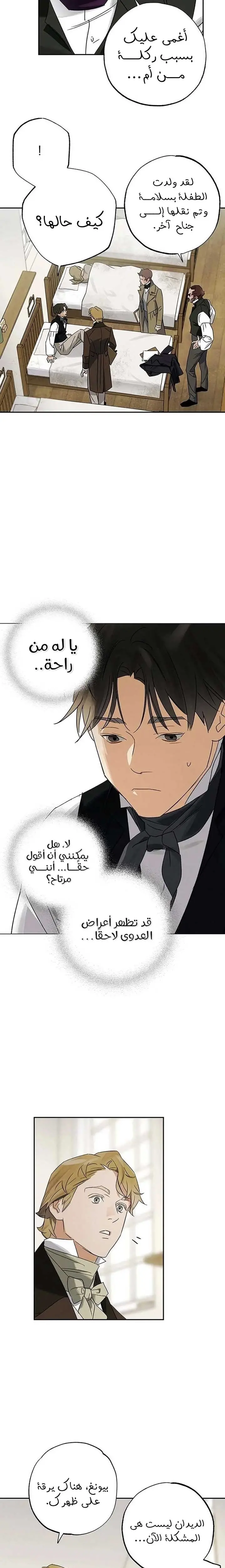 الصفحة 17
