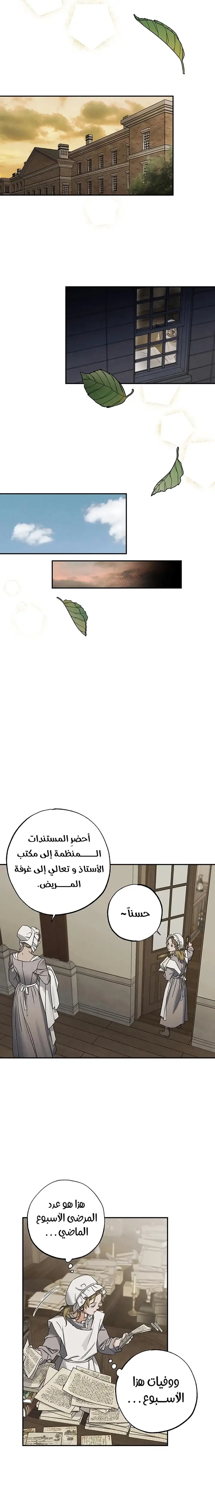 الصفحة 19