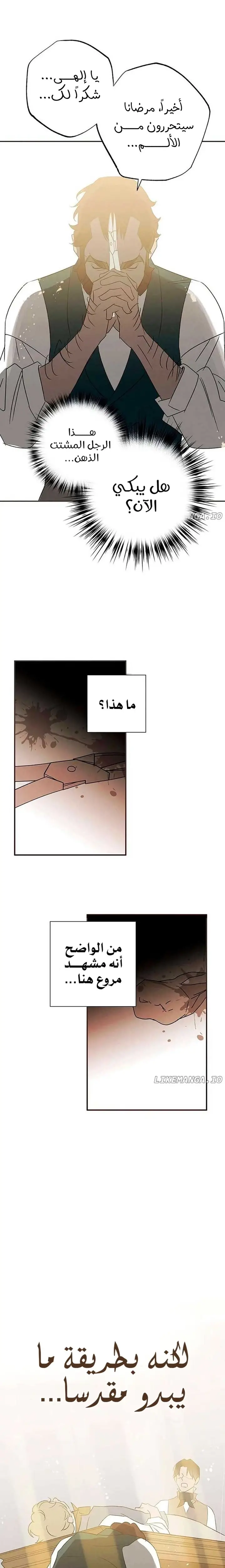 الصفحة 14