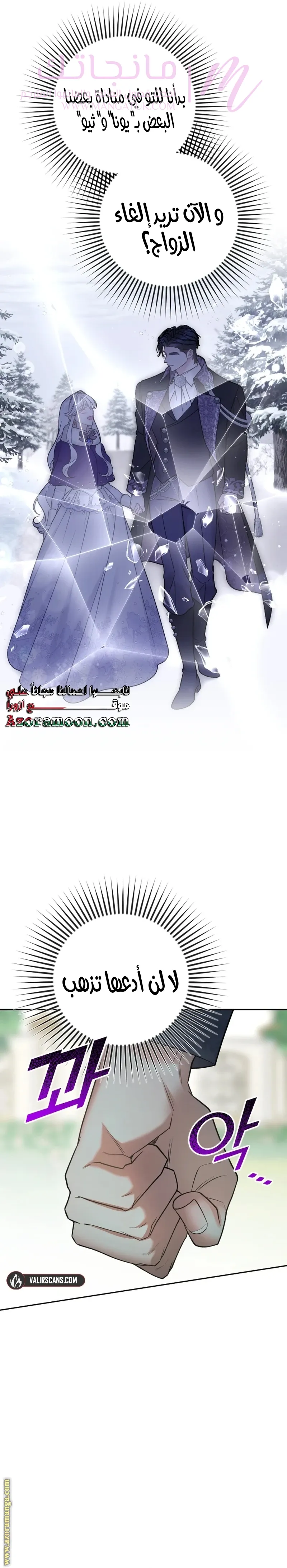 الصفحة 38