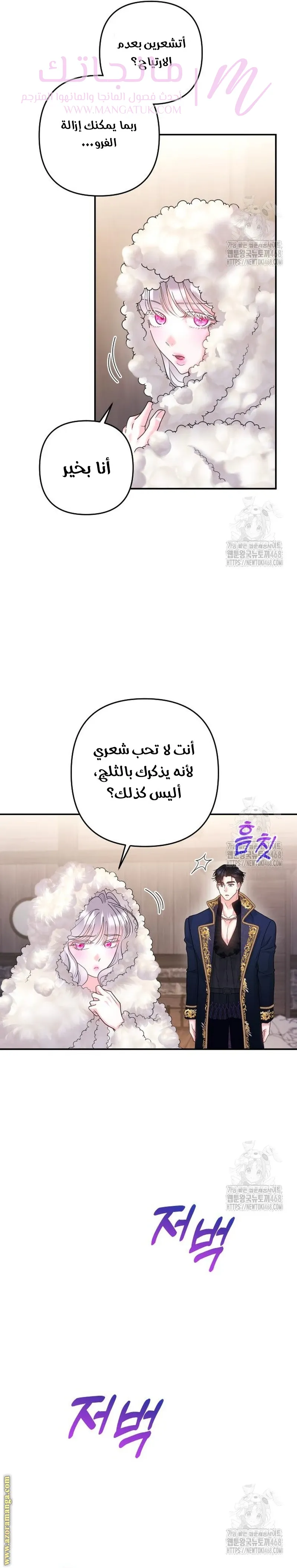 الصفحة 13