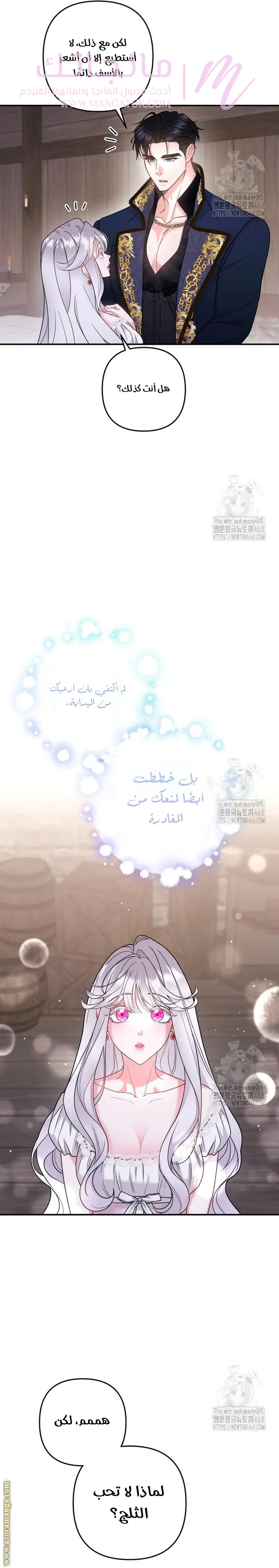 الصفحة 17