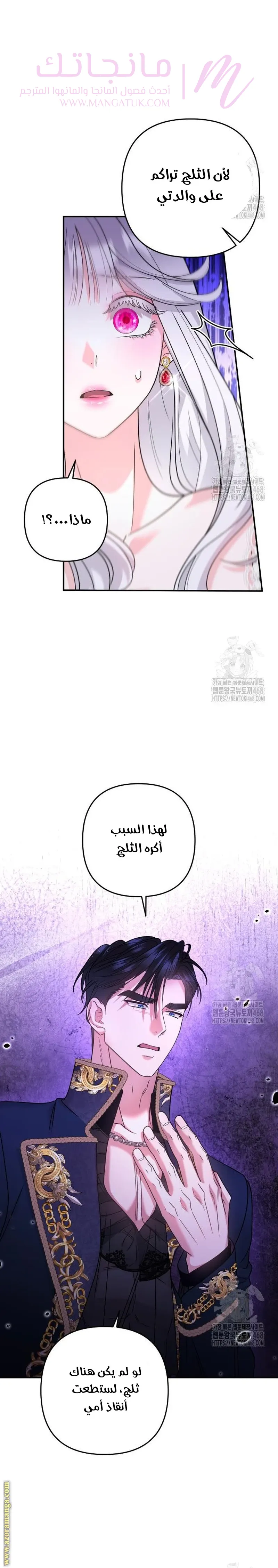 الصفحة 21