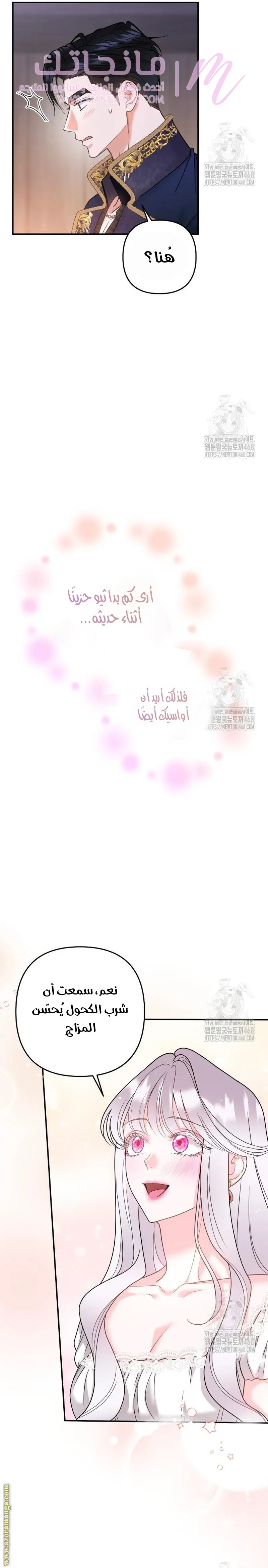 الصفحة 26