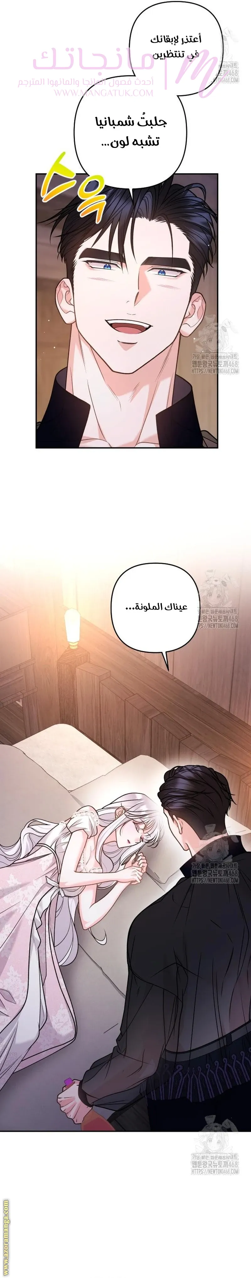 الصفحة 31