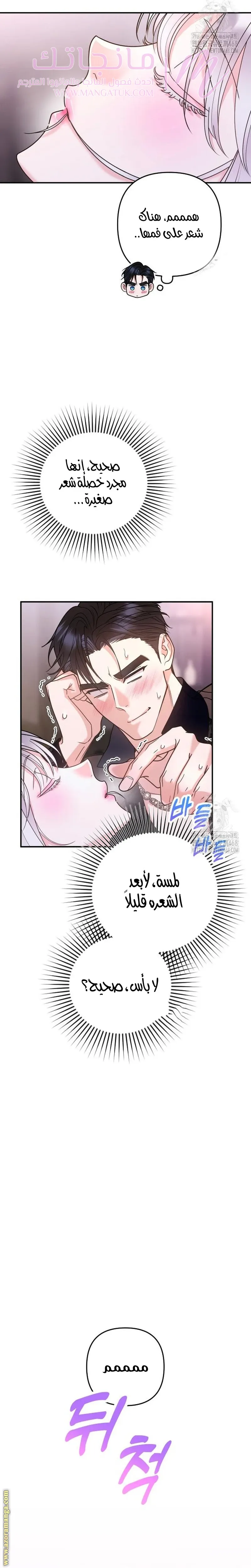 الصفحة 35