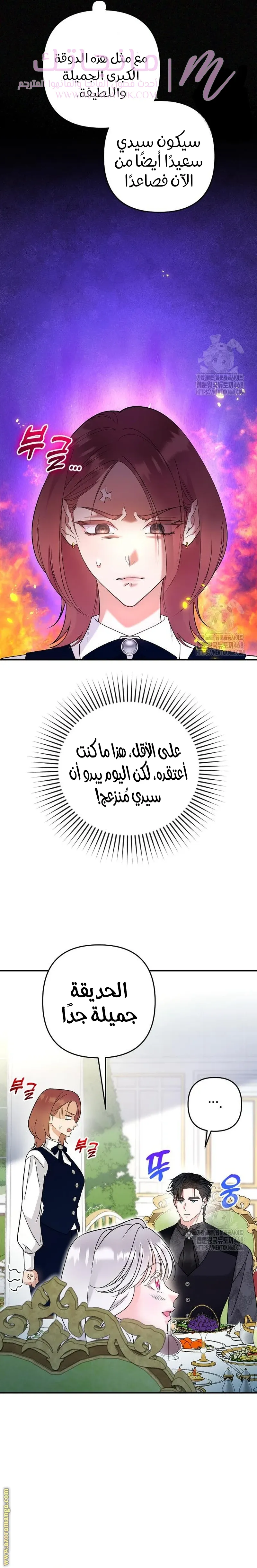 الصفحة 17