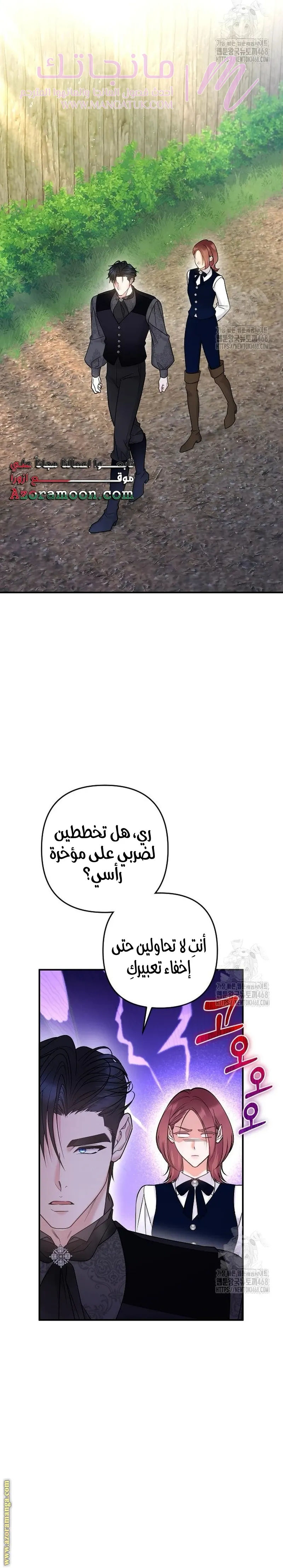 الصفحة 26