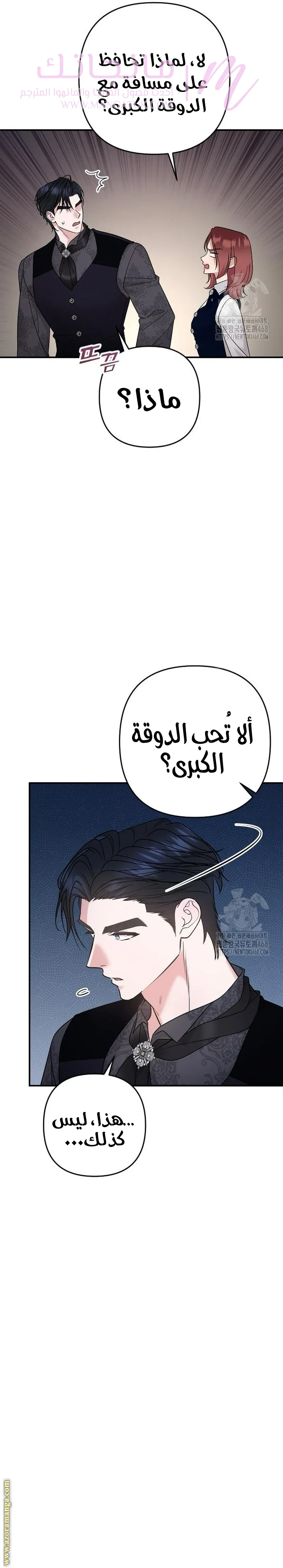 الصفحة 27