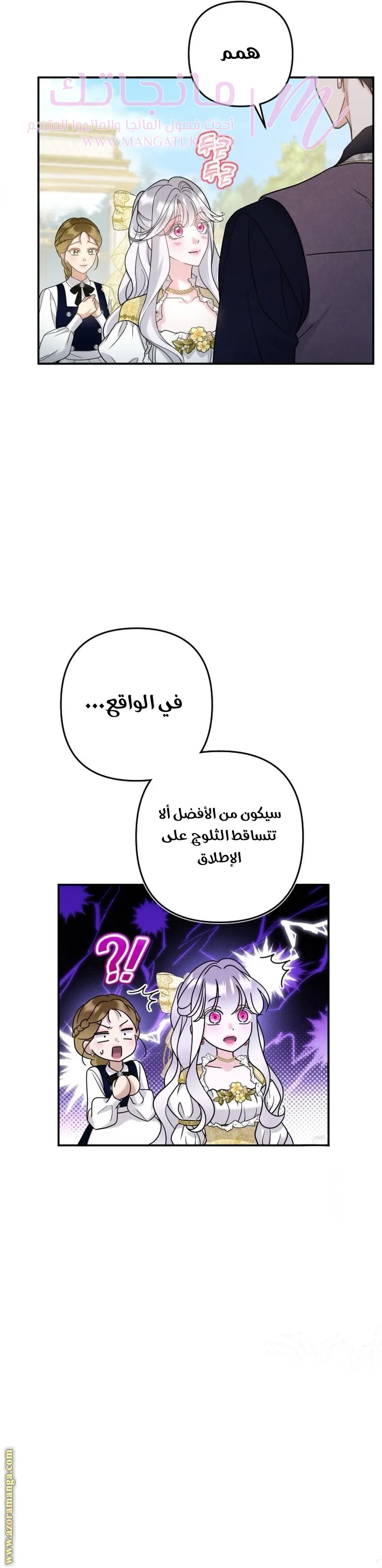 الصفحة 27