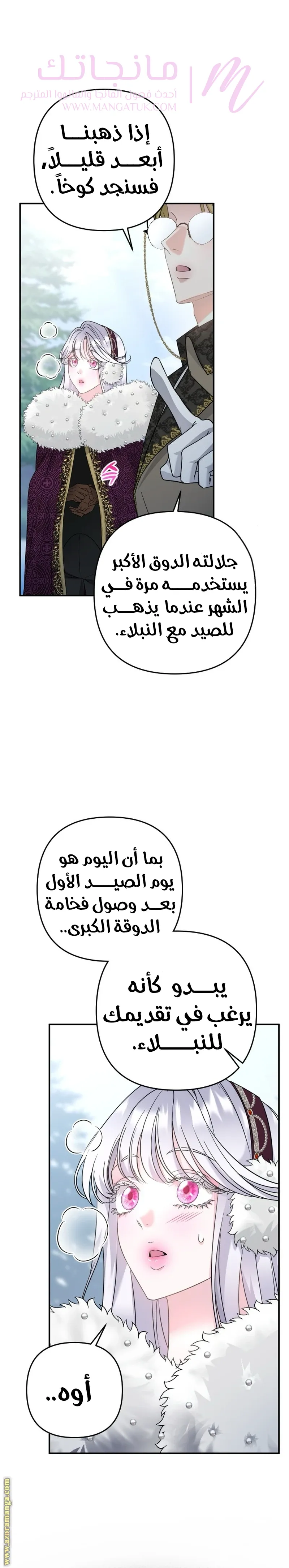 الصفحة 13