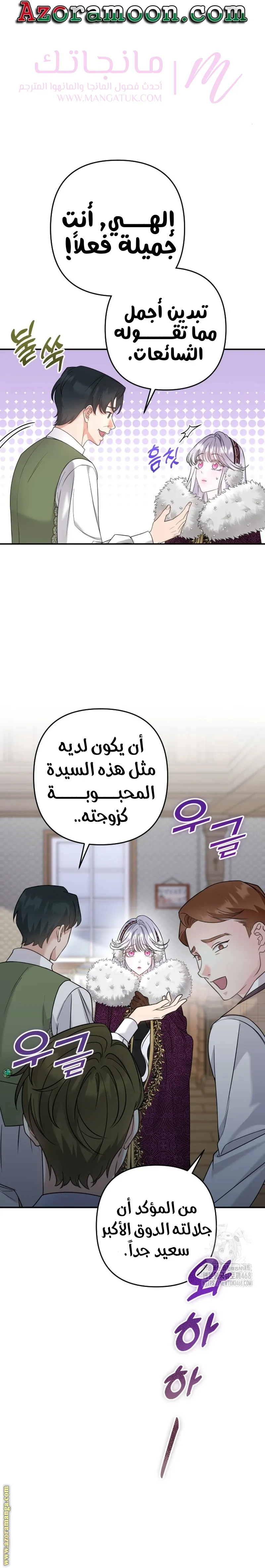 الصفحة 17
