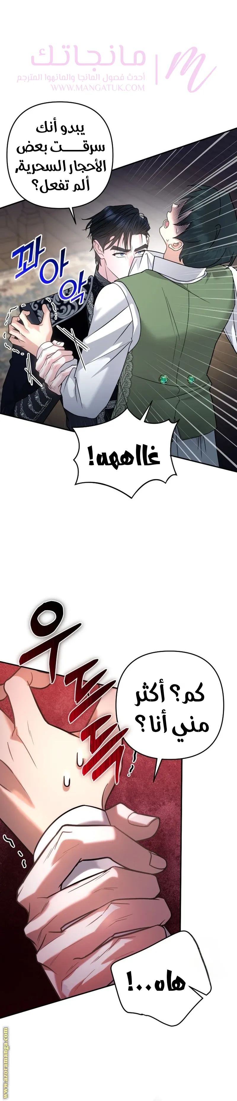 الصفحة 24