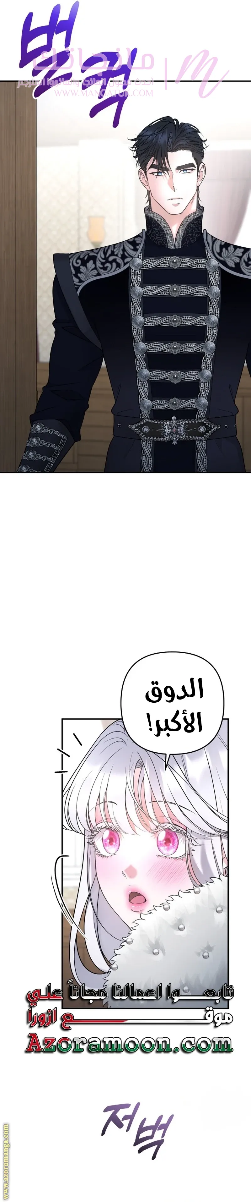 الصفحة 29