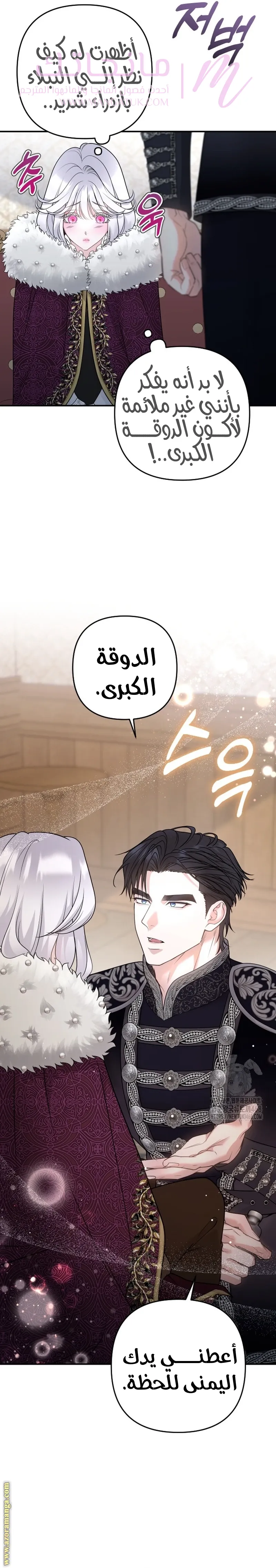الصفحة 30