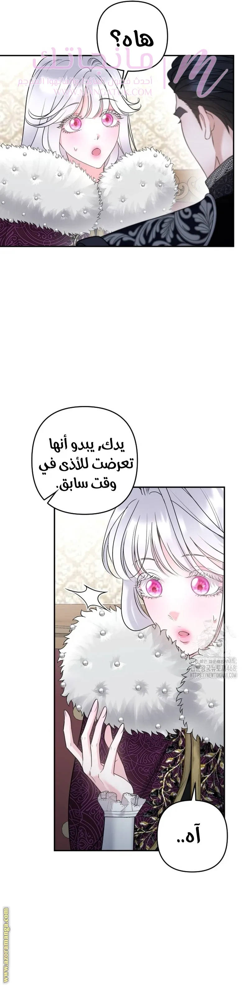 الصفحة 31