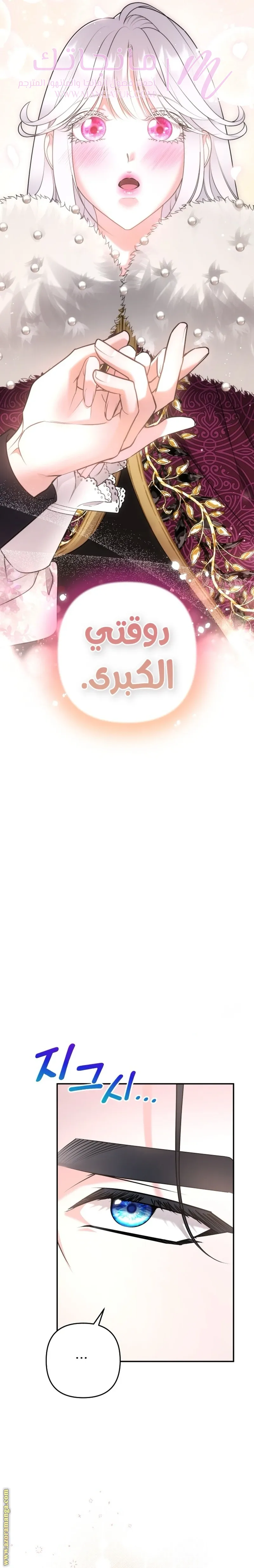 الصفحة 40