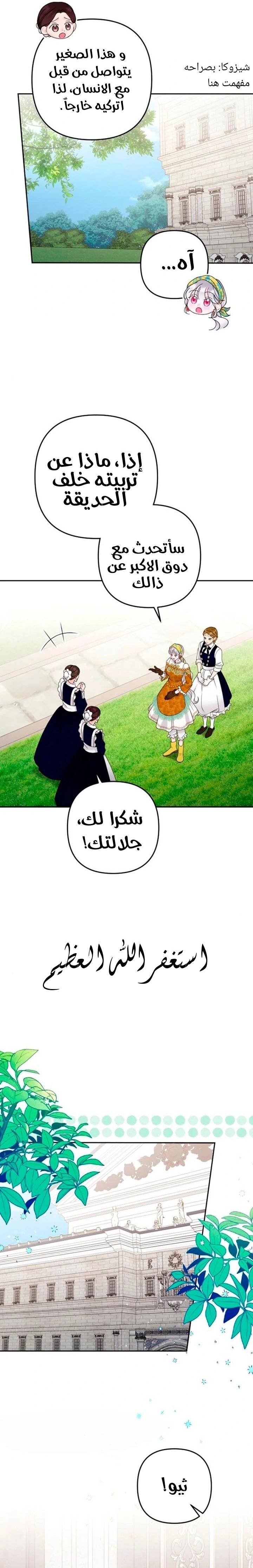 الصفحة 3