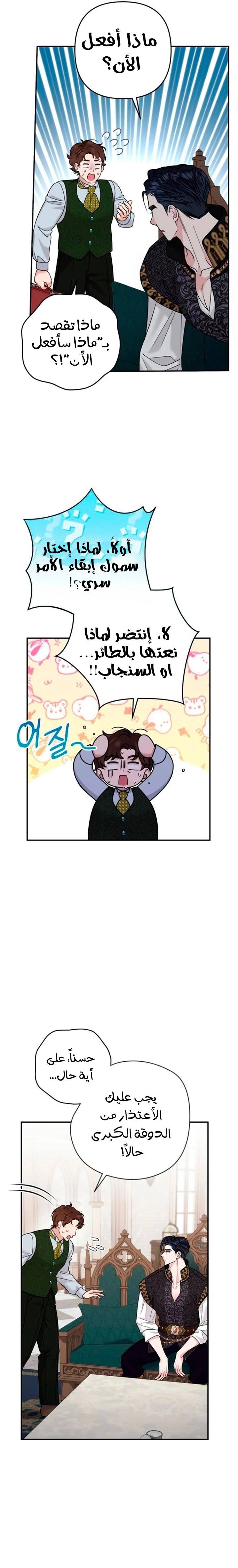 الصفحة 11