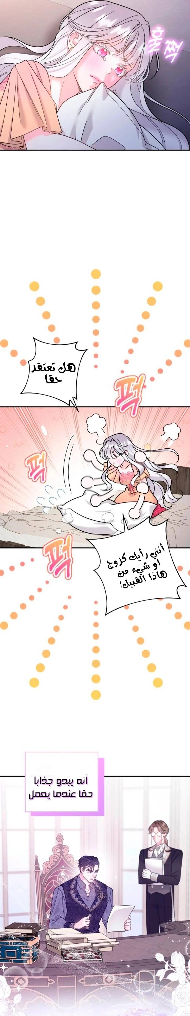 الصفحة 15